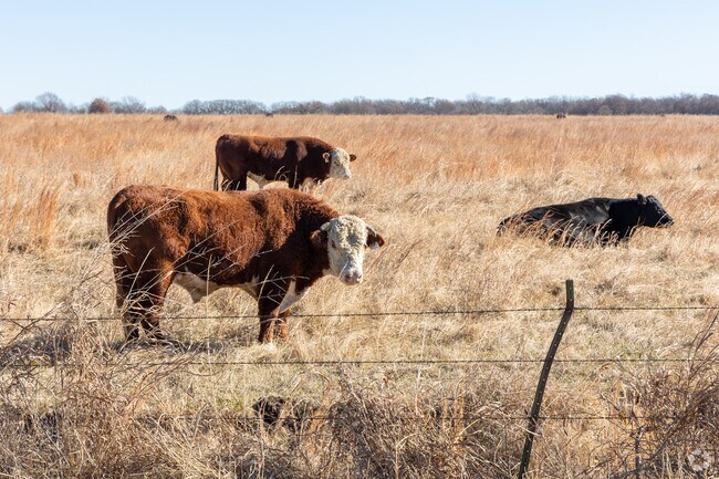 The city of Oologah includes thousands of acres of farm and ranch land.