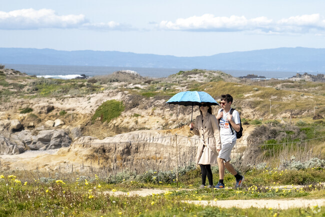 A couple taking a stroll in the Pacific Grove neighborhood.