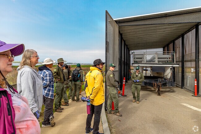 Locals can ride the Park Rangers boat and tour the salt pond in Alviso.