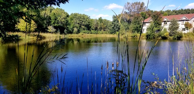 Arcade Estates West, Vadnais Heights, MN 55127 - photo 6