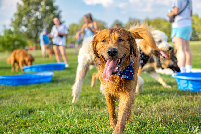 Yappy Hour features live music, desserts, cold beer and activities for furry best friends.
