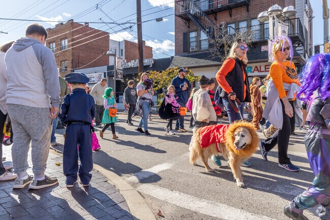 Even dogs like to walk in the Munhall Halloween Parade.