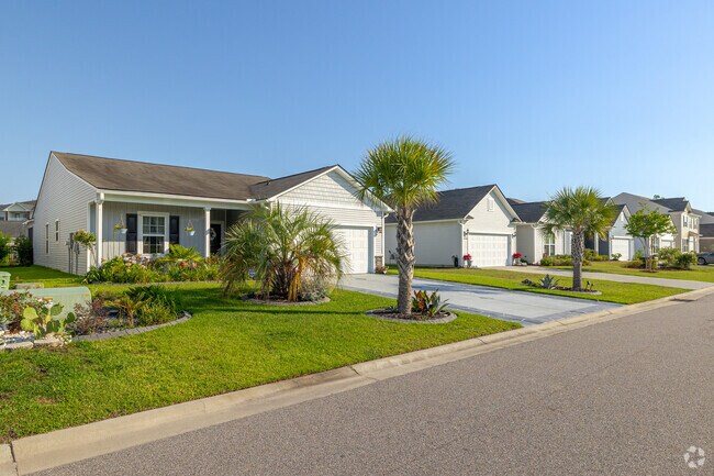 Smaller traditional homes are well maintained and have palm trees in Pine Island.