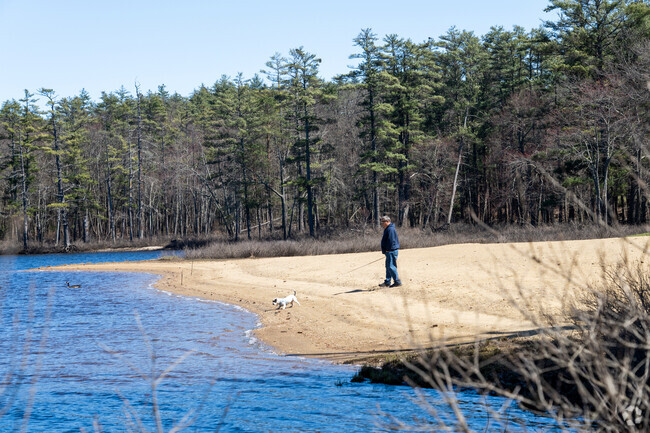 A person's dog checks out the water at Lake Dennison near Baldwinville.