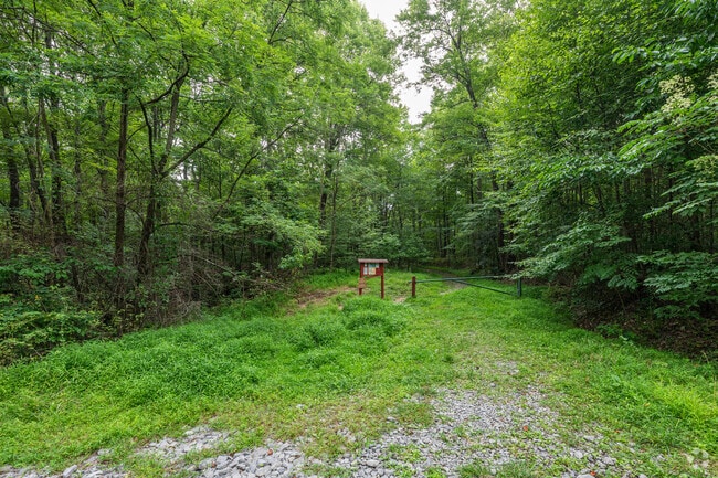 Snake Hill Wildlife Management Area is a serene escape to nature just outside of Brookhaven.