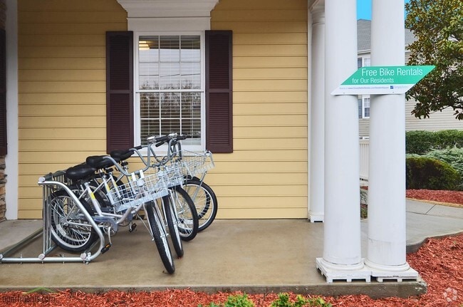 Bike Rack