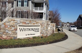 115 Deacon Shattuck Way Unit 115, Westborough, MA 01581