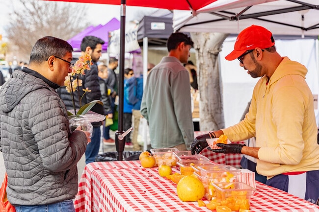 Try the delicious foods the Sunday farmers market has to offer in Monta Loma.