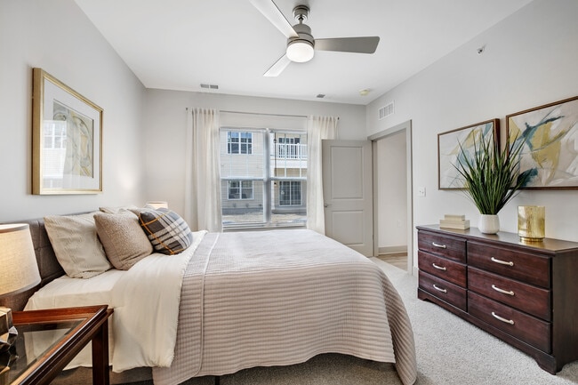 Cozy and elegant bedroom