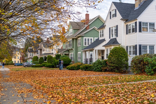 A row of homes in Institution Park features large front lawns blanketed in orange leaves.