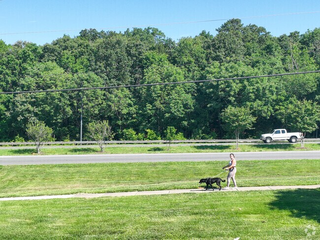 Dog walkers are often seen on the Toby Creek Greenway in University City South .