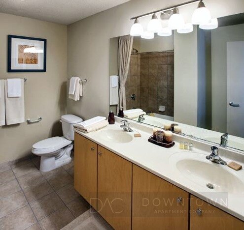 The Lancaster unit 2215, Chicago, IL 60601 - photo 6