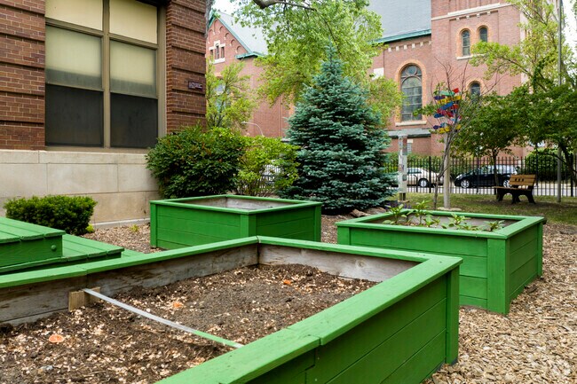 Students get to learn about gardening at St. Matthias School.
