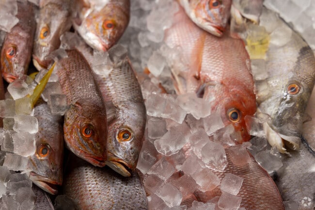Presidente Supermarket in Brownsville sells fresh fish and international foods.