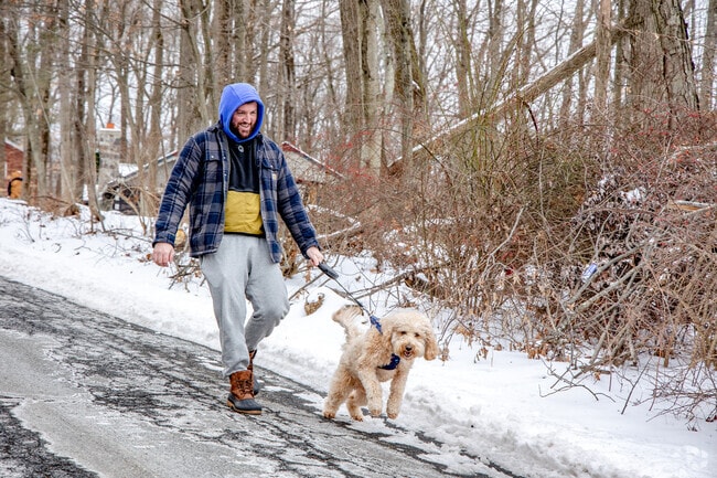 A Byram resident enjoys a peaceful walk with their dog along the neighborhood streets.