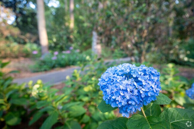 Stop and take a break with a beautiful view at Aldridge Gardens in Hoover.