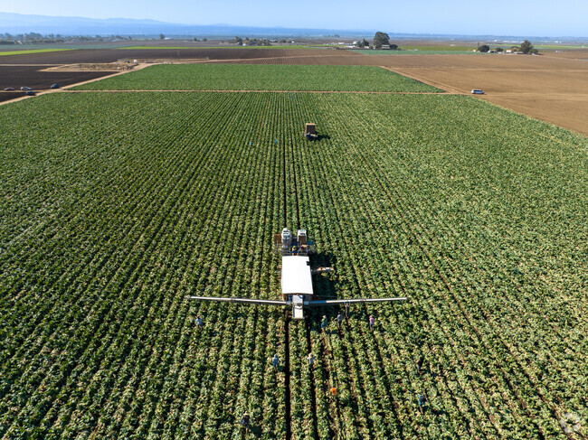 Farmers in Boronda cultivate the land.