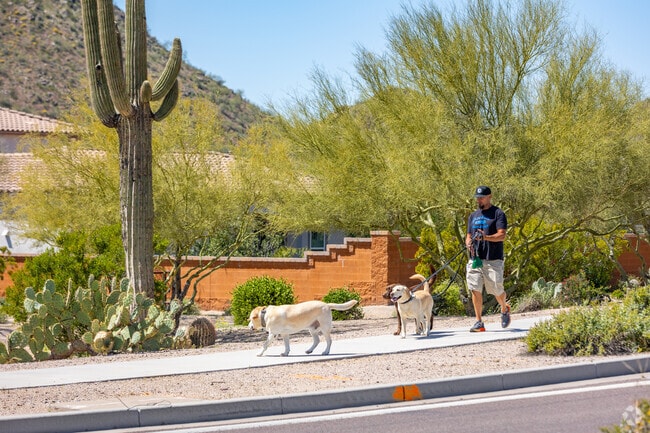 Share adventures and playdates with other dogs in University Manor's community.