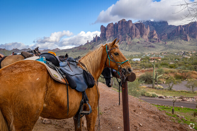 Saddle up and explore the scenic trails with friendly horses at Goldfield Ghost Town.