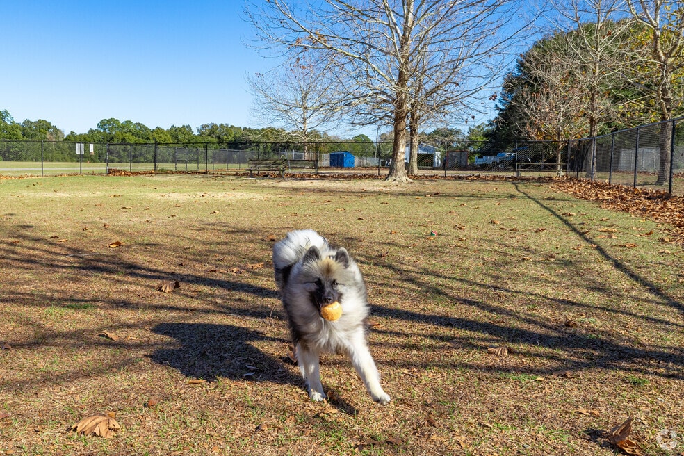 Neighborhood_Gonzalez_v2_2202024