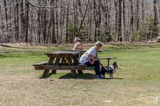 Gay City State Park offers hiking trails, a fishing area, and beautiful nature in Hebron, CT.