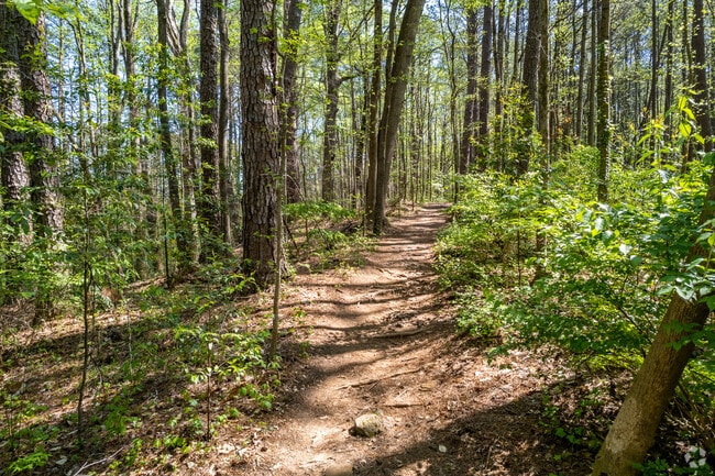 Kittredge Park offers nature trails in North Druid Hills neighborhood.