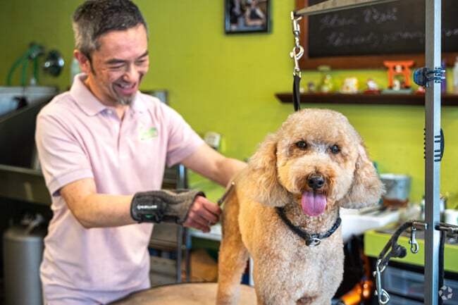 Westwood pets go to Picasso Dog Groomery.