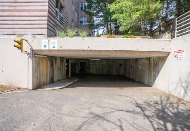 345 Franklin St unit 307, Cambridge, MA 02139 - photo 5