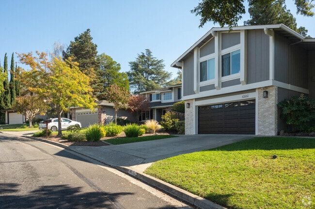 A row of homes lined with mature trees in Concord's Cowell/Canterbury neighborhood.