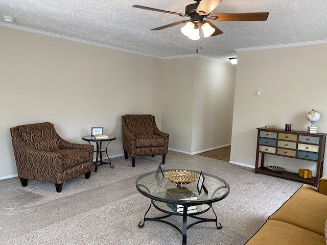 1255 Concord Dr, Mount Pleasant, MI 48858 - photo 5