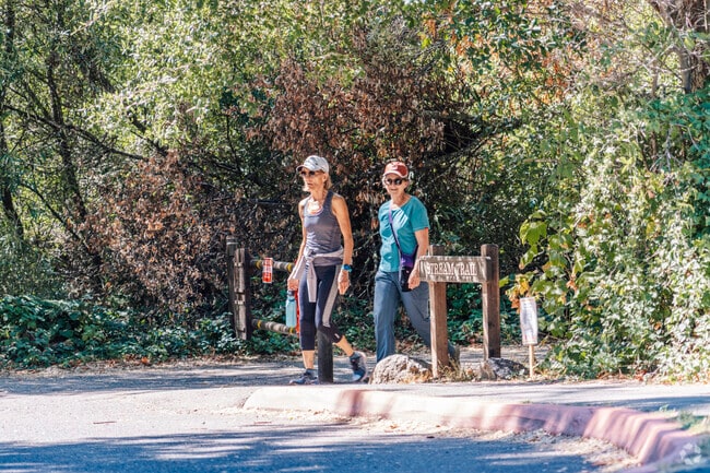 Enjoy outdoor recreation in Skyline-Hillcrest with parks and redwood trails at your doorstep.