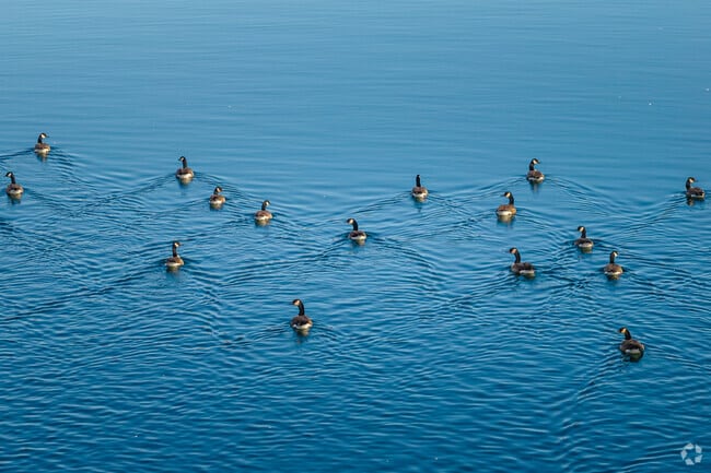 Local wildlife roam freely in the abundant nature surrounding Rensselaer.