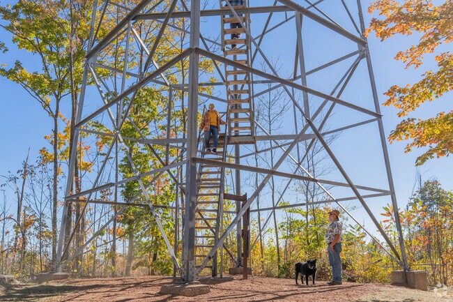 Locals love the Lookout Tower for its breathtaking views of the Mountain landscape.