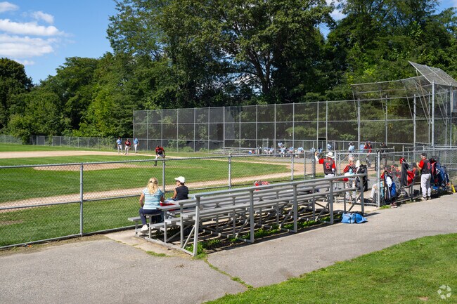 Fans gather at Calise Field, a community baseball diamond near Arlington.