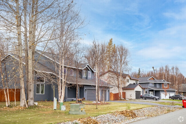 Rows of two story modern craftsman homes with two or three car garages are common in the Palmer.