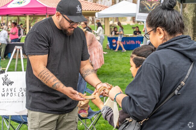 The Coachella Valley Wildflower Festival is a unique opportunity to witness the magic of nature for North Shore residents.