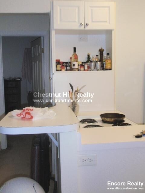1223 Beacon St unit 307, Brookline, MA 02446 - photo 4