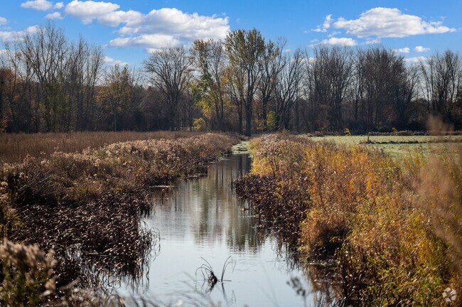 A bucolic stream runs through a farm outside of Burlington.