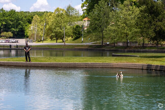 Chilhowee Hills families fish and stroll around Lake Ottosee at Chilhowee Park.