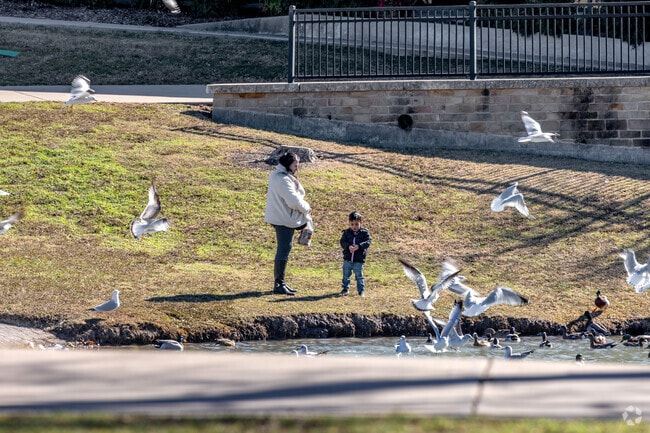 Duck Creek locals head to Huffhines Park pond to feed the ducks.