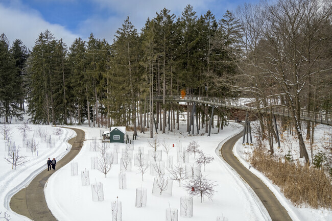 Whiting Forest of Dow Gardens' famous canopy walk is open all year in Midland.