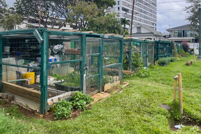 garden cages