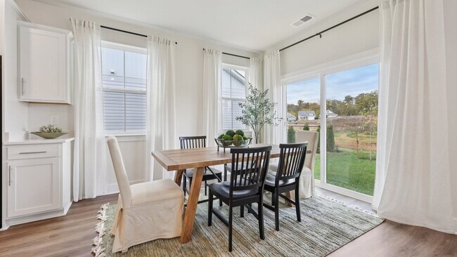 111 Trellis View Ln, Winchester, VA 22601 - photo 6