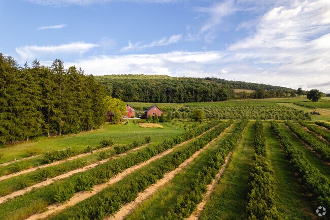 Orchards surround Ringgold and are a large part of the local economy.