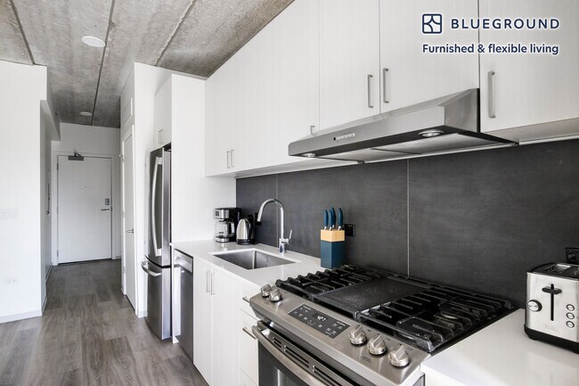 343 W Schiller St unit FL6-ID1268, Chicago, IL 60610 - photo 5