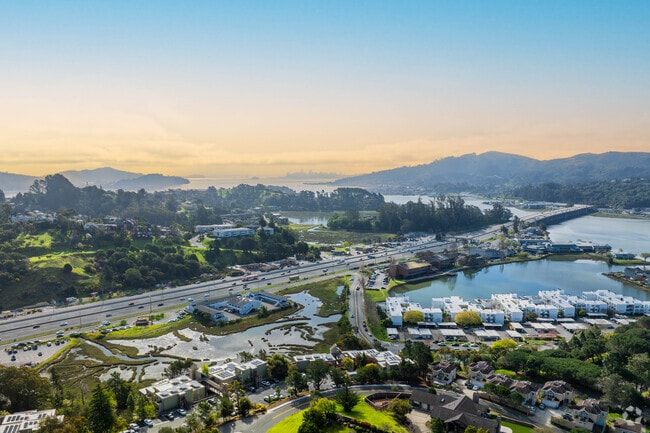 Highway 101 will take you from Kentfield to SF in 30 minutes.