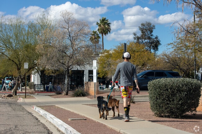 Walking dogs in Rincon Heights is easy with sidewalks and shade trees.
