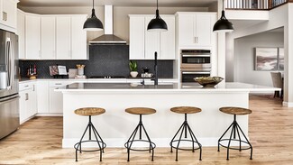 1733 Fox Trotter Point, Castle Rock, CO 80104