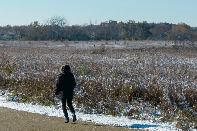 Ray Lake Forest Preserve has miles of serene trails to take in the natural splendor.