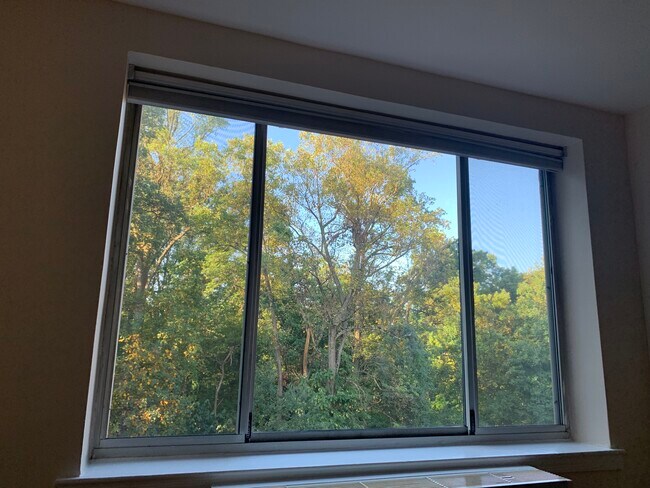 Direct, private views of the park